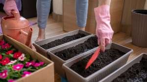 3 egyszerű tipp a sikeres konténeres kertészkedéshez