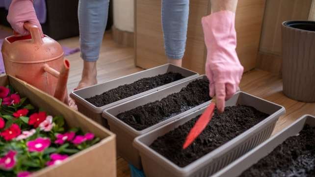 3 egyszerű tipp a sikeres konténeres kertészkedéshez