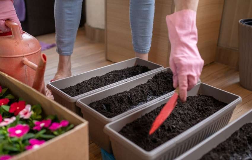 3 egyszerű tipp a sikeres konténeres kertészkedéshez